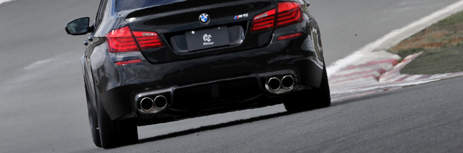 ABS Spoiler for BMW F10 M5 Type M Titanium Silver 354 Rear Extreme Athletic 
